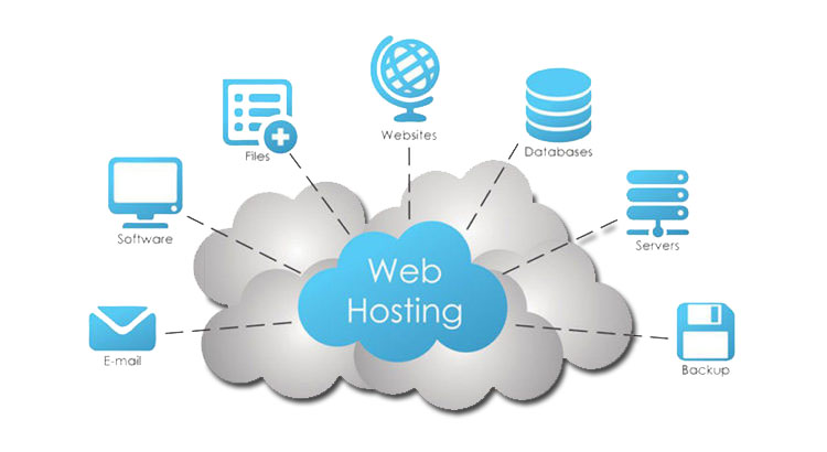 Website Hosting